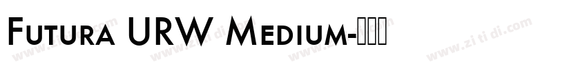 Futura URW Medium字体转换